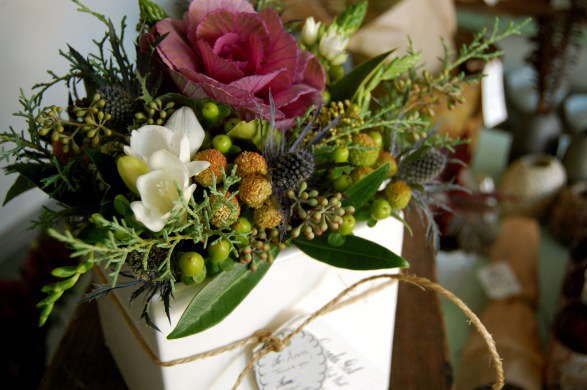 [Coriander%2520Girl%255B5%255D.jpg]