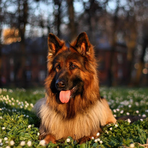 Hd-171807-ascw171807