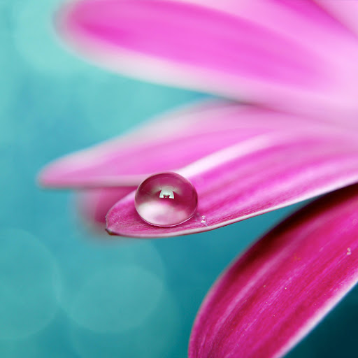 Hd-133932-ascw133932