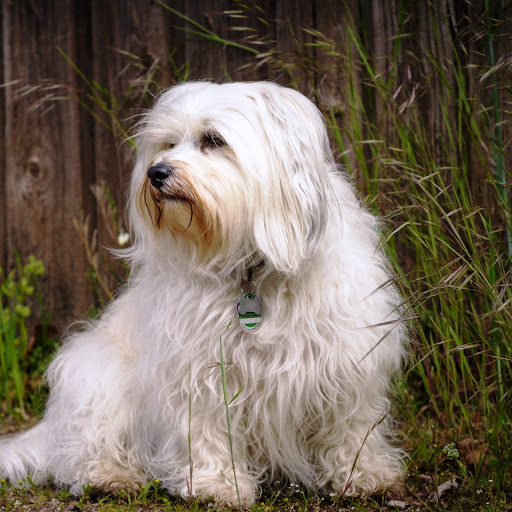 Hd-147587-ascw147587