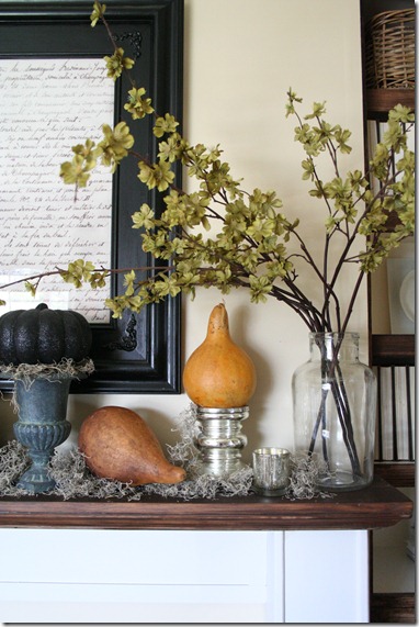 The Old Painted Cottage {The Blog}: Cottage8: Fall Inspired Mantel
