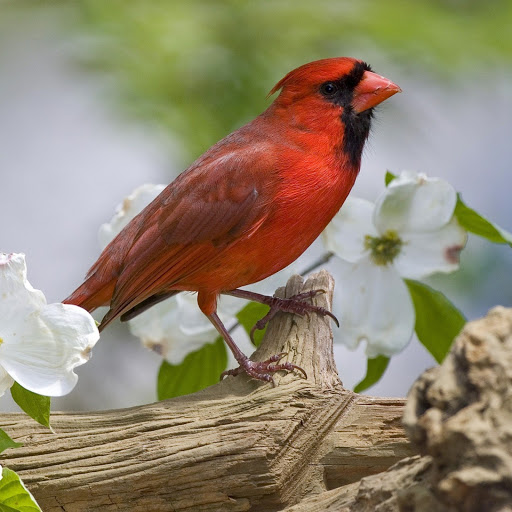 Hd-142770-ascw142770