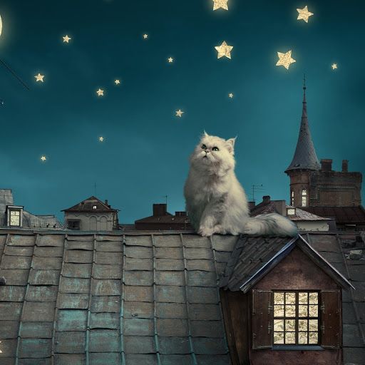 Hd-158964-ascw158964