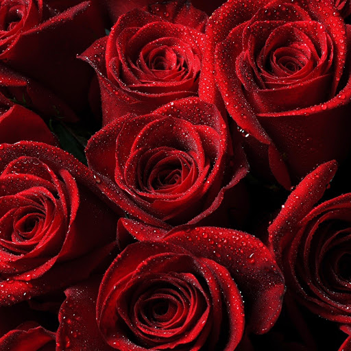 Hd-161878-ascw161878