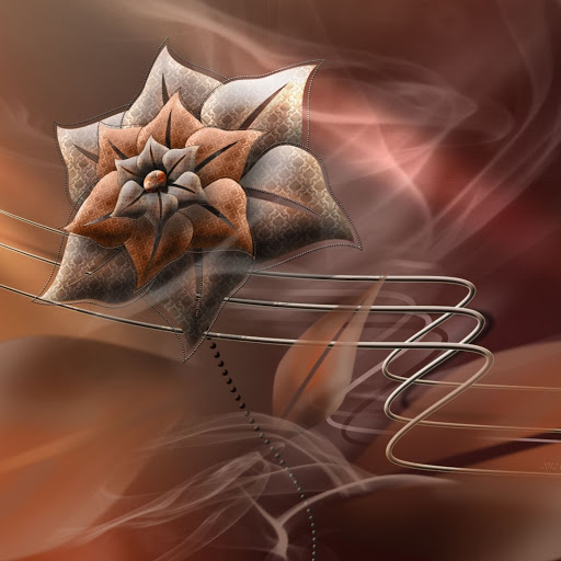 Hd-141916-ascw141916