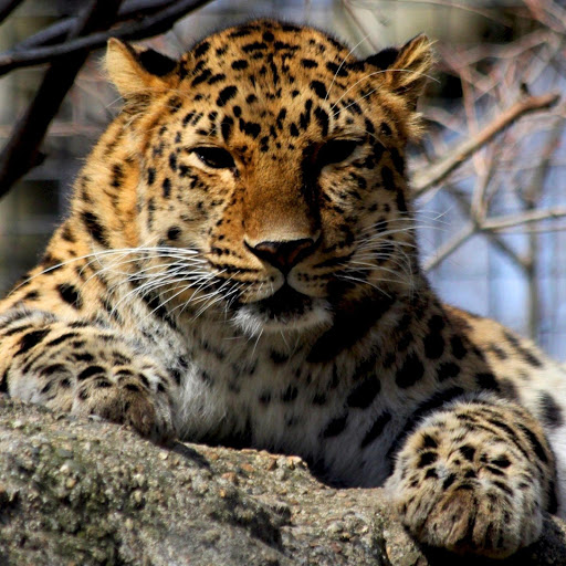 Hd-182082-ascw182082