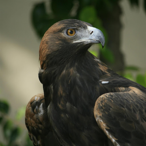 Hd-147712-ascw147712