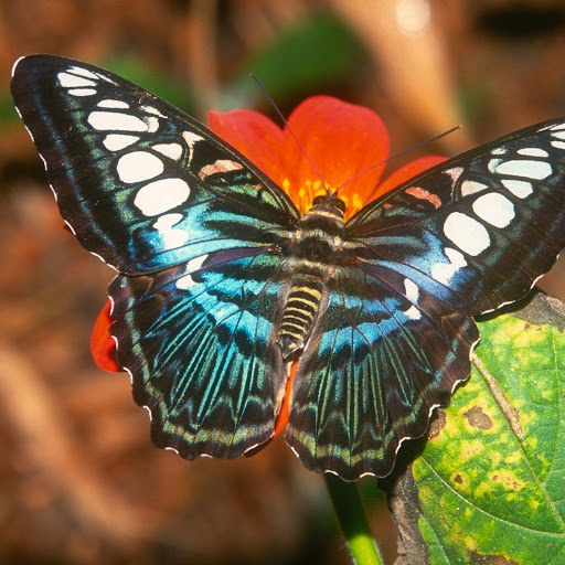 Hd-139538-ascw139538