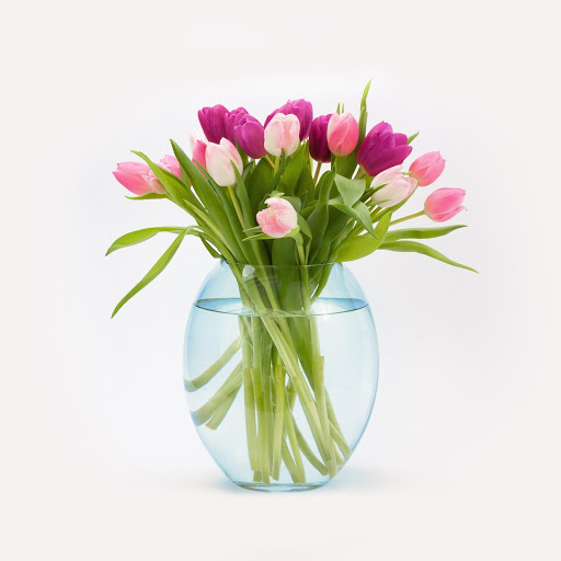 Hd-183574-ascw183574