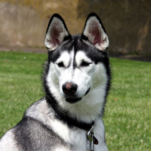 Hd-182638-ascw182638