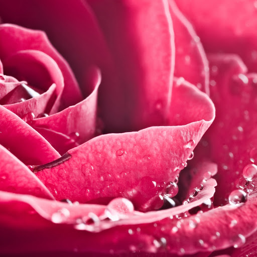 Hd-151592-ascw151592