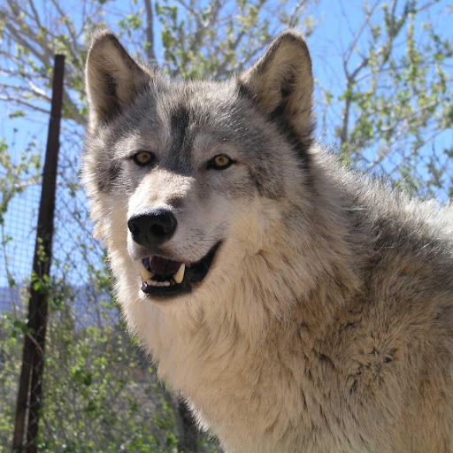 Hd-147181-ascw147181