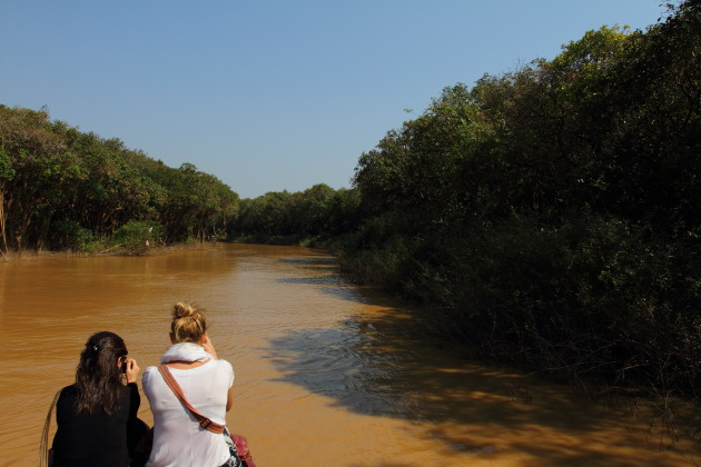 Entering the flooded forest of Kompong Phluk, Cambodia