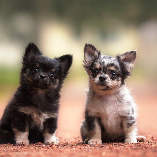 Hd-147466-ascw147466