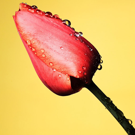 Hd-150301-ascw150301