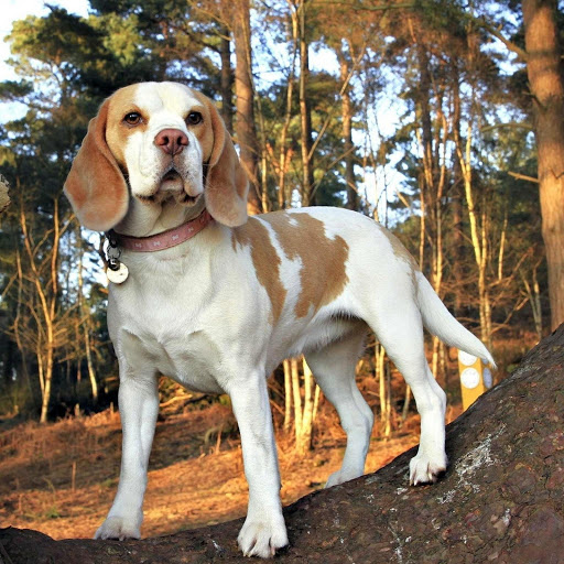 Hd-175881-ascw175881