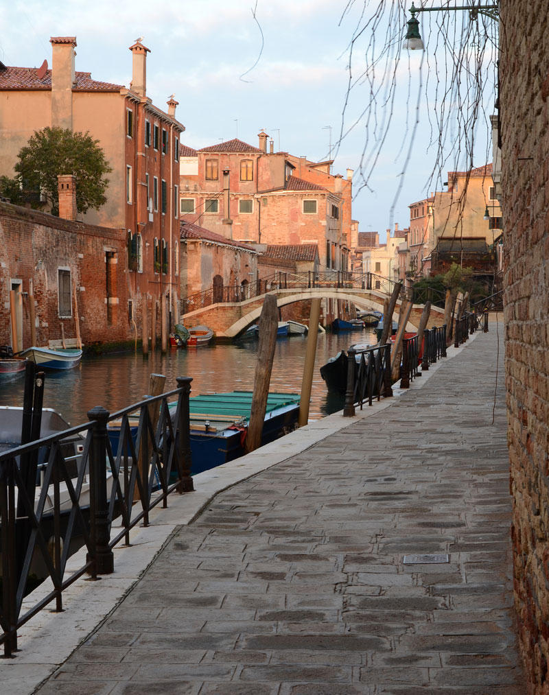 DSC_5106.jpg DSC 5106