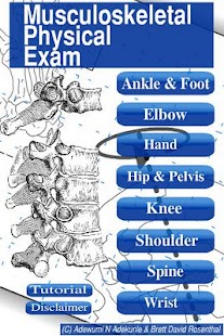 Musculoskeletal Physical Exam