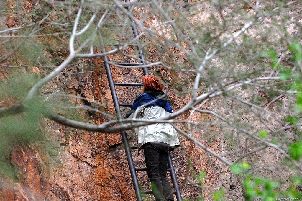 [DSC_0488%255B4%255D.jpg]