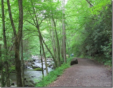 town_elkmont_trail