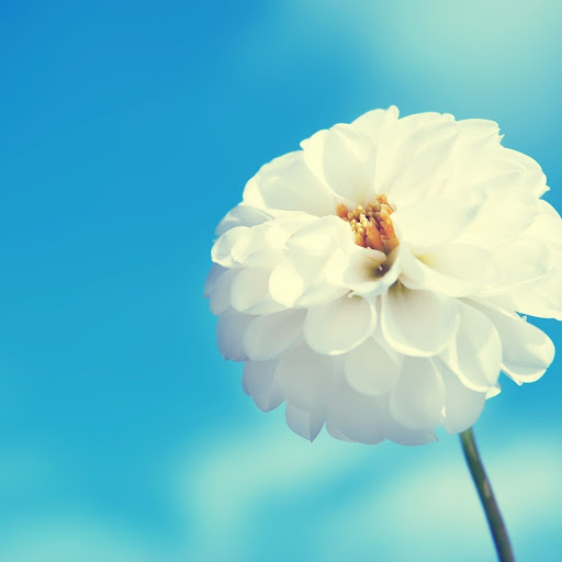 Hd-148964-ascw148964