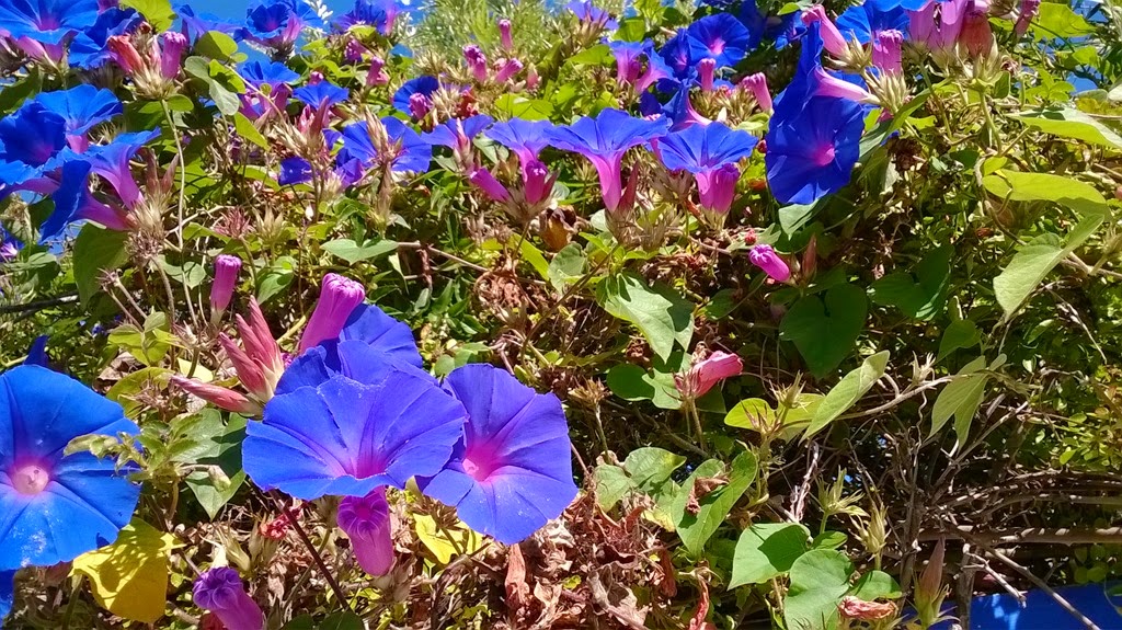 [WP_20140820_0044.jpg]