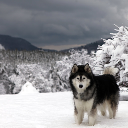 Hd-159914-ascw159914