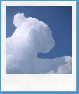 nube-reyleon