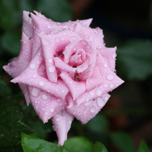 Hd-166826-ascw166826