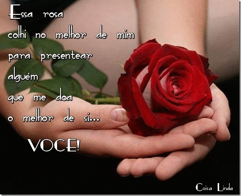 carinho.gif