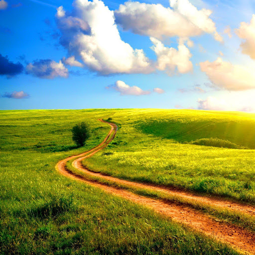 Hd-135944-ascw135944