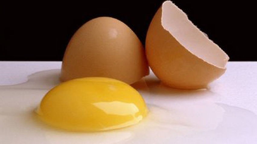 [egg-yolks%255B5%255D.jpg]