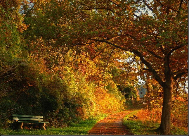 Autumn 4