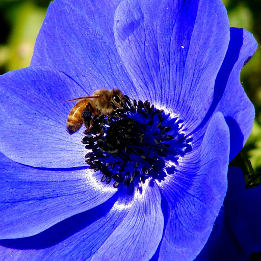 Hd-181673-ascw181673