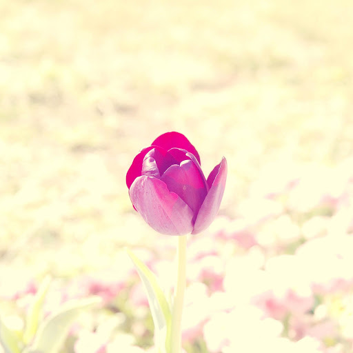 Hd-164176-ascw164176