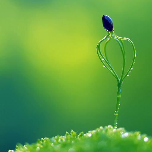 Hd-145678-ascw145678