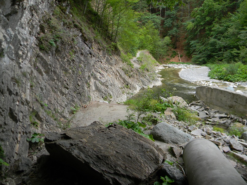 [DSCN43143.jpg]