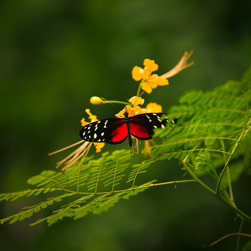 Hd-164582-ascw164582