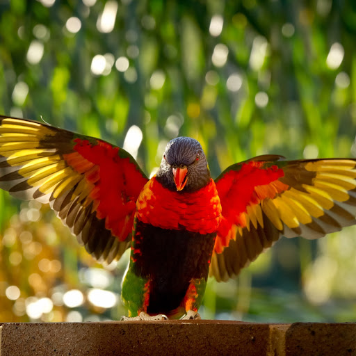 Hd-170918-ascw170918