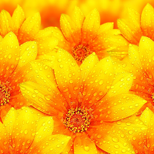 Hd-148704-ascw148704