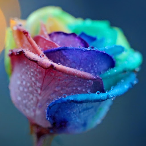 Hd-176722-ascw176722