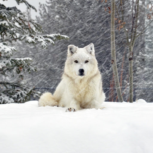 Hd-181042-ascw181042