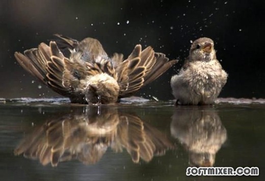 [552b10405d7edc9959ba41ad94b_prev%255B2%255D.jpg]