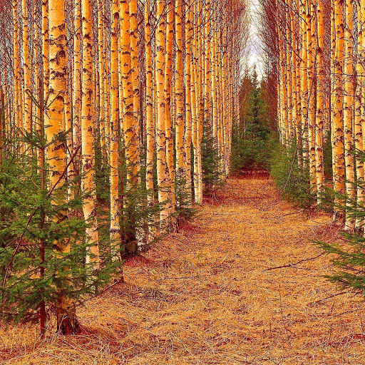 Hd-152386-ascw152386