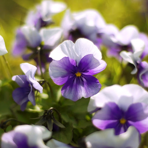 Hd-142187-ascw142187