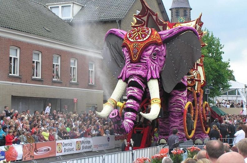 bloemencorso-17 bloemencorso-17