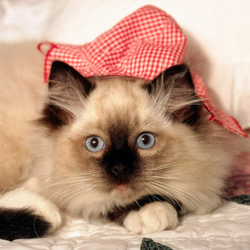 Hd-143964-ascw143964