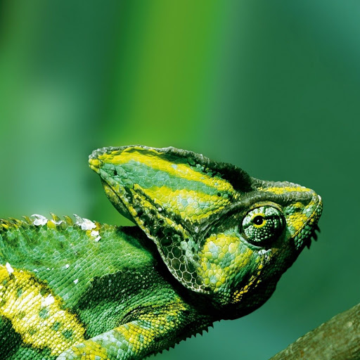 Hd-149335-ascw149335