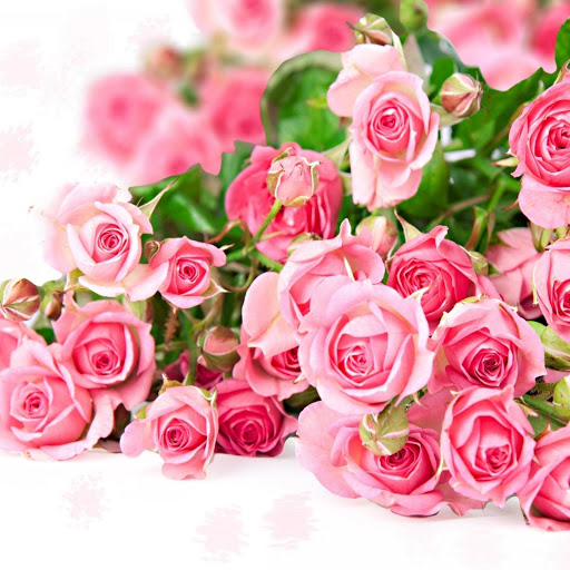 Hd-170291-ascw170291