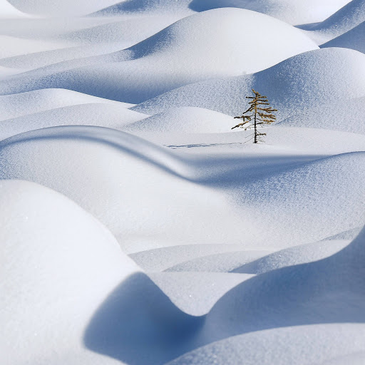 Hd-171597-ascw171597